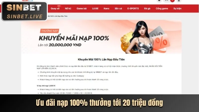 Chương trình hoàn trả cược đá gà VNBET